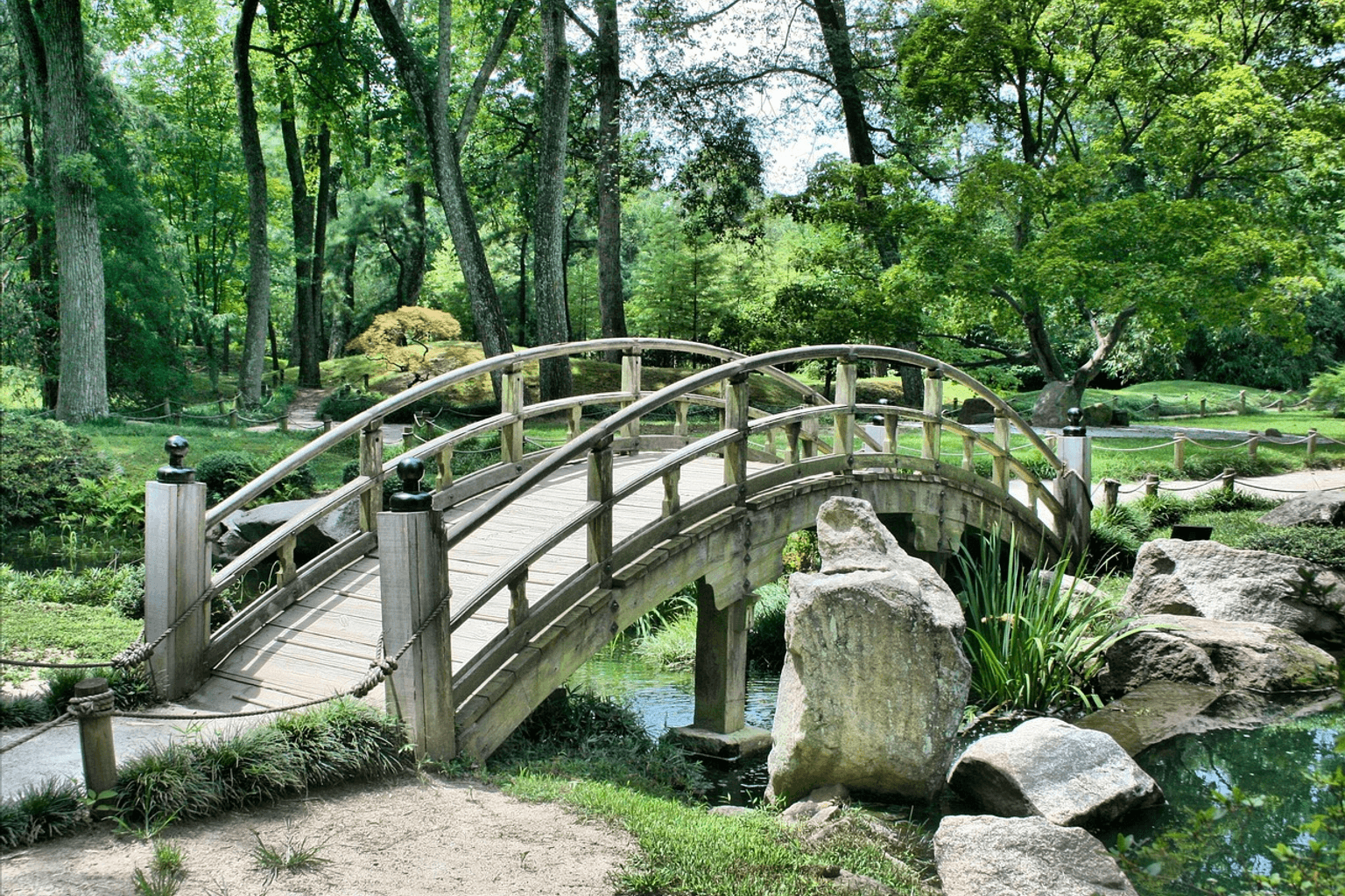 庭に敷かれた石の園路